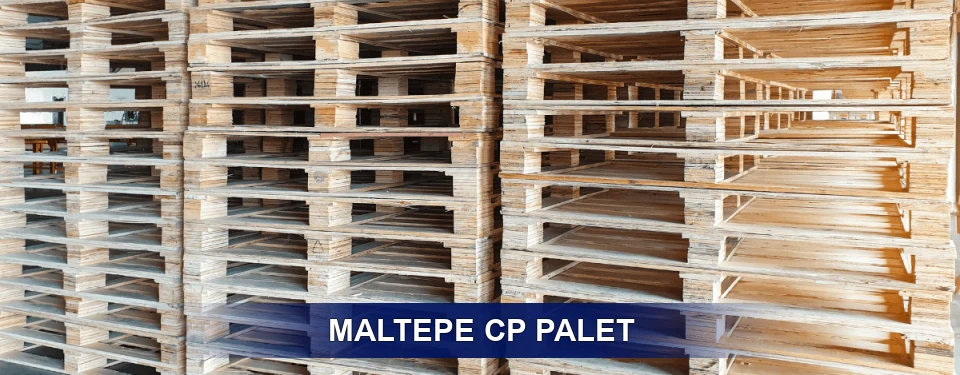Maltepe Standart Tipler