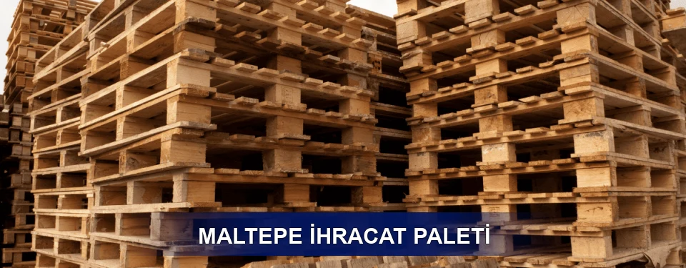 Maltepe ISPM 15 Seçimi
