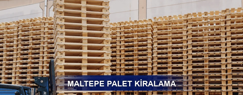Maltepe Uzun Dönem
